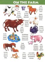 English в малюнках для дітей. Завтра до школи - Зображення 4