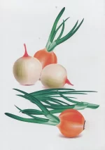 фрукти
