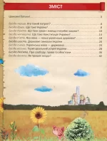 Я люблю свою країну. Дітям про державу та Конституцію - Зображення 2