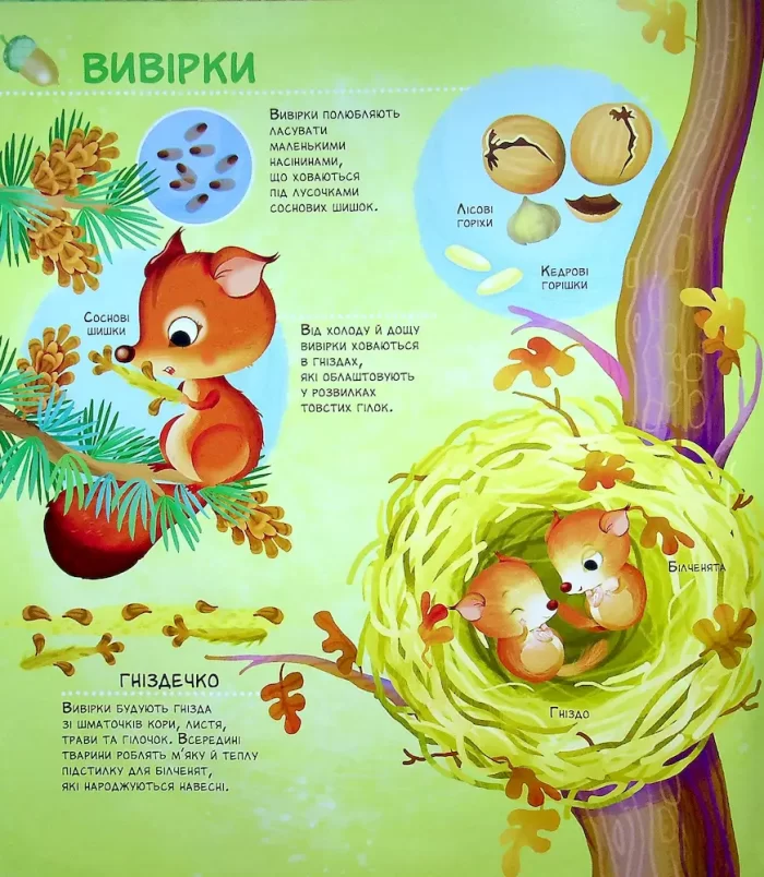 Книга Як живуть крихітні створіння - Зображення 2