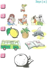 відгукніться! 5-й рік життя. Домашній логопедичний ЗОШИТ і ПОСІБНИК - Мандрівець