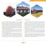 Україно, я люблю тебе - Зображення 3