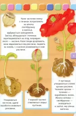 Людина Велика книжка для найменших - Зображення 4