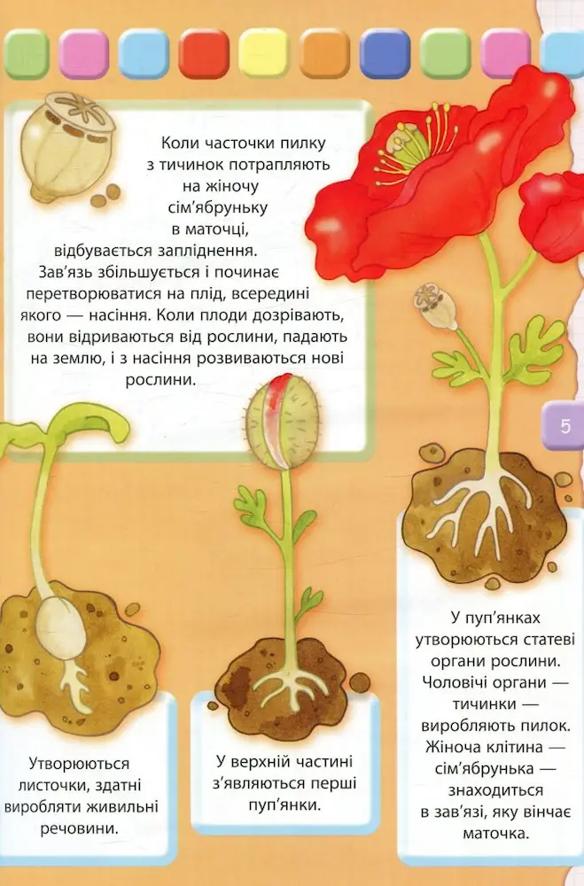 Людина Велика книжка для найменших - Зображення 4