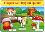 Бесіди. Користуванні газом і небезпека на воді - Зображення 3
