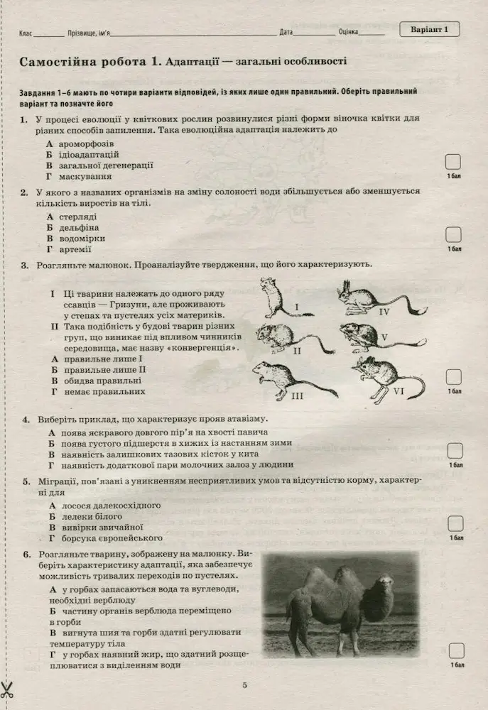 11 кл. Зошит для поточного та тематичного оцінювання. Академічний рівень - ПЕТ