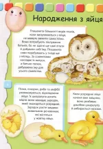 Людина Велика книжка для найменших - Зображення 5
