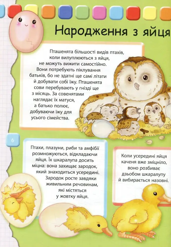 Людина Велика книжка для найменших - Зображення 5