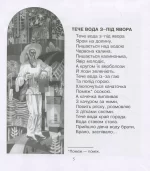 Кобзарик - Зображення 5