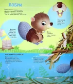 Книга Як живуть крихітні створіння - Зображення 4