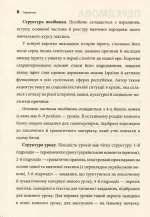 Сучасний іврит для початківців - Зображення 7