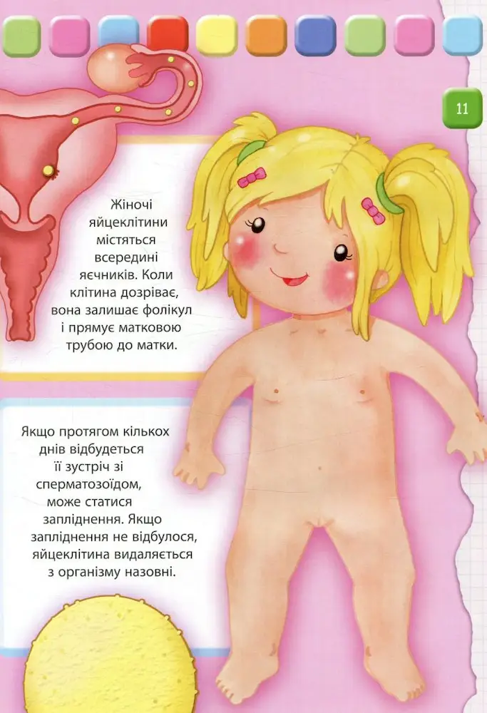 Людина Велика книжка для найменших - Зображення 6