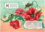 Квіткова абетка - Зображення 2