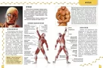 Про тіло людини. Енциклопедія для допитливих - Зображення 2