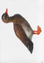 Розповімо дітям. Про свійських тварин - Зображення 2