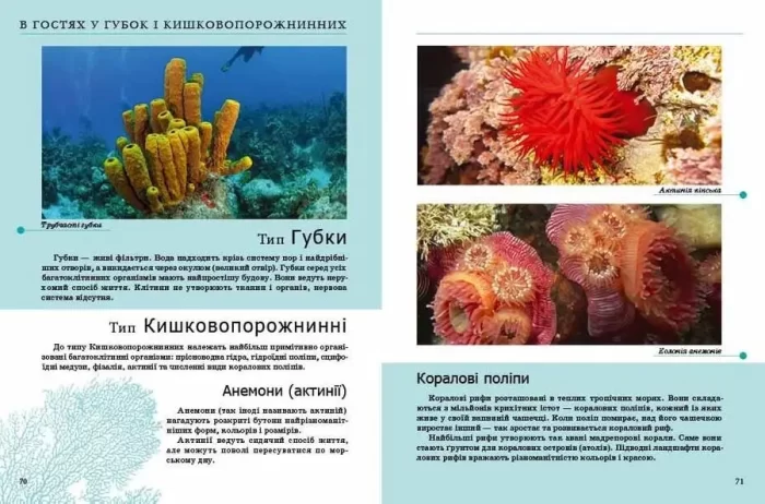 Комахи та інші. Енциклопедія для допитливих - Зображення 2