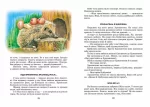 Всі добрі люди - одна сім`я - Зображення 3