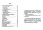 Супердетектив Тім і команда. Таємниця зниклого діаманта - Зображення 2