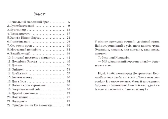 Супердетектив Тім і команда. Таємниця зниклого діаманта - Зображення 2