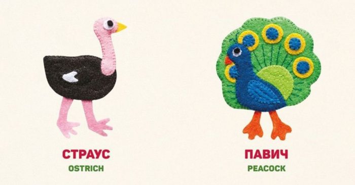 Птахи. Birds - Зображення 2