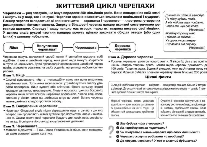 Розповімо дітям про життєвий цикл живих організмів - Зображення 2