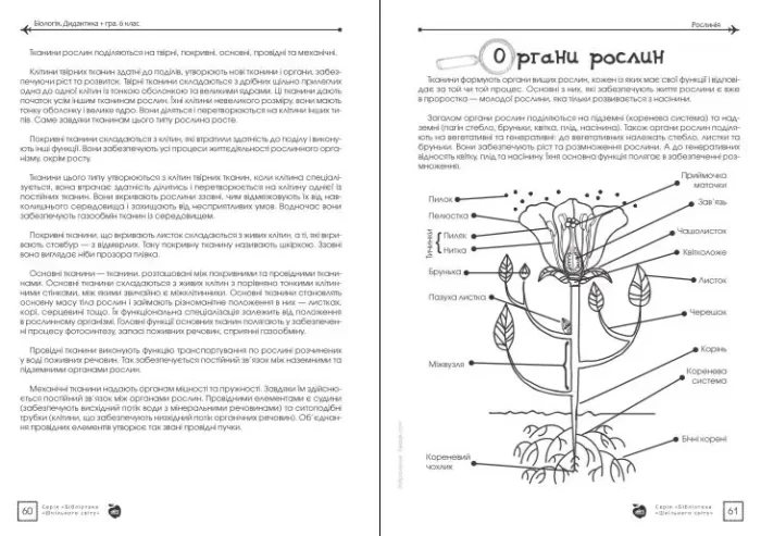 Біологія. Дидактика + гра. 6 клас - Зображення 2