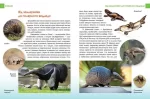 Хижаки. Енциклопедія для допитливих - Зображення 2