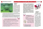 Я знаю, як це працює. Енциклопедія для допитливих - Зображення 4