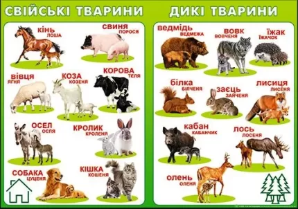 Плакат: Свійські & Дикі тварини - Світ поздоровлень