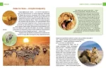 Хижаки. Енциклопедія для допитливих - Зображення 3