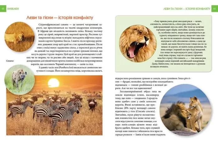 Хижаки. Енциклопедія для допитливих - Зображення 3
