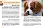 Домашні улюбленці. Енциклопедія для допитливих - Зображення 2