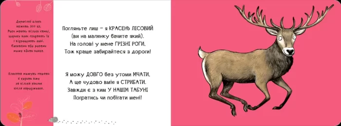 Тваринки - половинки. У лісі - Зображення 2