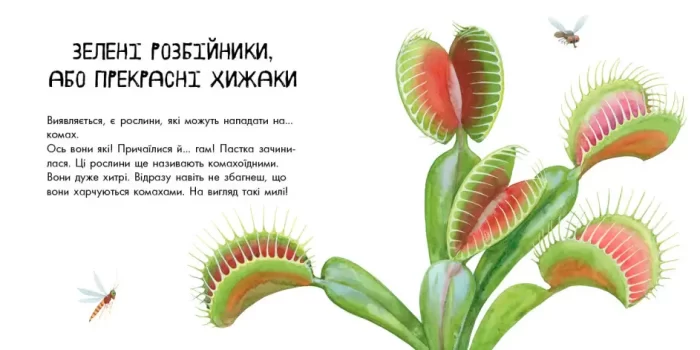 Про рослини. В гостях у природи - Зображення 3