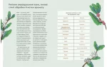 Нові кавові правила - Зображення 4