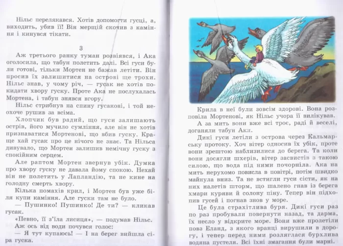 Пригоди Нільса - Зображення 2