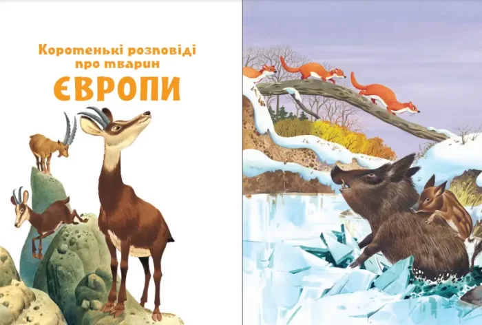 Коротенькі історії про тварин з усього світу - Зображення 3