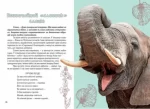 Вусохвості й лапокрилі. Читанка про тварин - Зображення 4