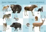 Перша книга малюка/Baby's first book - Зображення 3