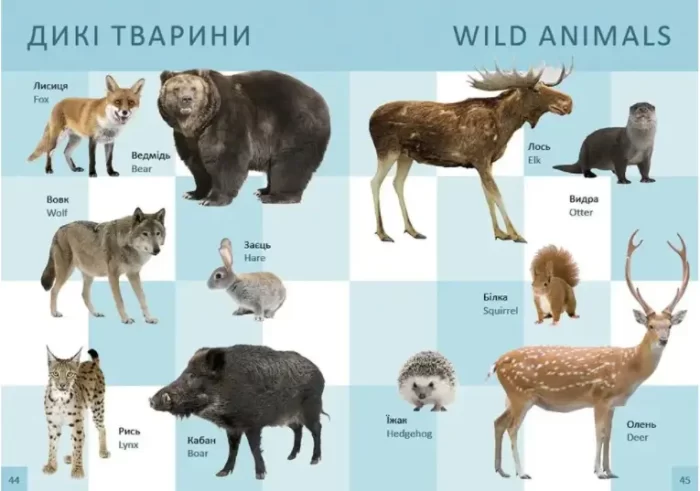 Перша книга малюка/Baby's first book - Зображення 3