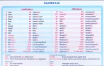 Англійська граматика. Комплект плакатів для 5–11 класів - Зображення 2