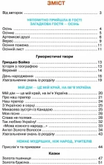 Українська мова та читання. Підручник. 4 клас. Частина 2 - Зображення 2