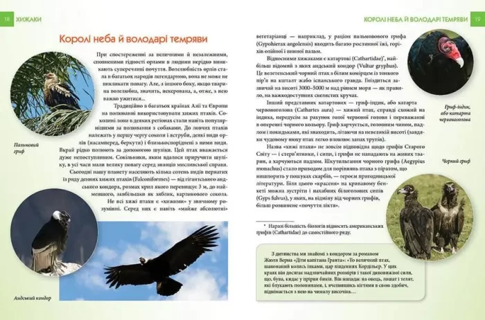 Хижаки. Енциклопедія для допитливих - Зображення 4