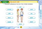 Картки з курсу Я досліджую світ 1 клас. - Зображення 3