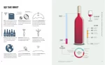 Wine Folly. Усе, що треба знати про вино - Зображення 5