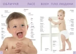 Перша книга малюка/Baby's first book - Зображення 4