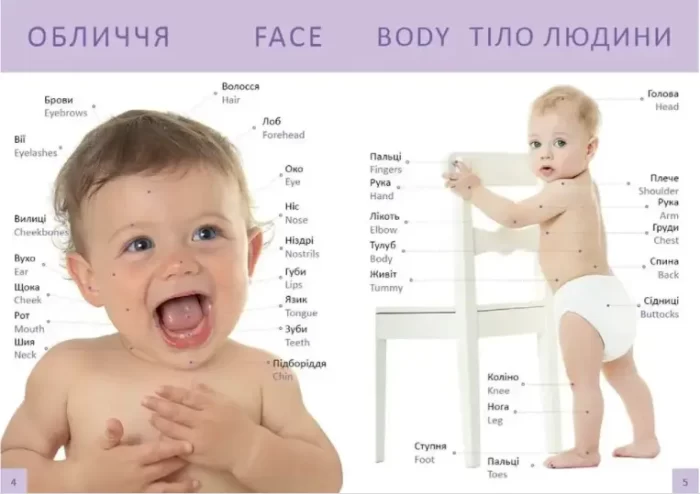 Перша книга малюка/Baby's first book - Зображення 4
