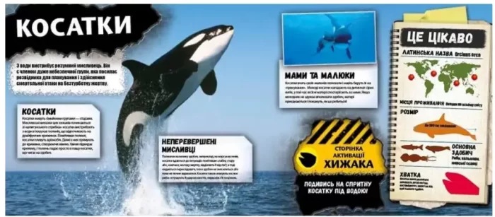Хижаки. І EXPLORE (я Вивчаю) - Зображення 3