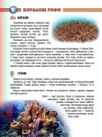 Мешканці морів та океанів. Енциклопедія для допитливих - Зображення 2