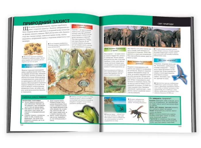 Ілюстрована енциклопедія чомучки - Зображення 3